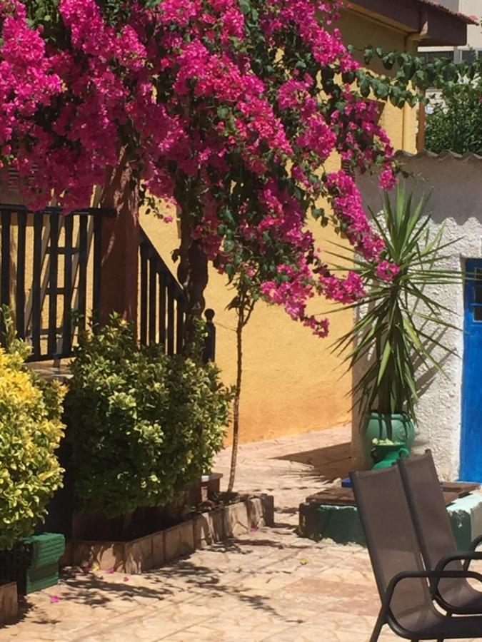 Cosy Guesthouse-Souterrain With Garden In City Center Corinth Εξωτερικό φωτογραφία