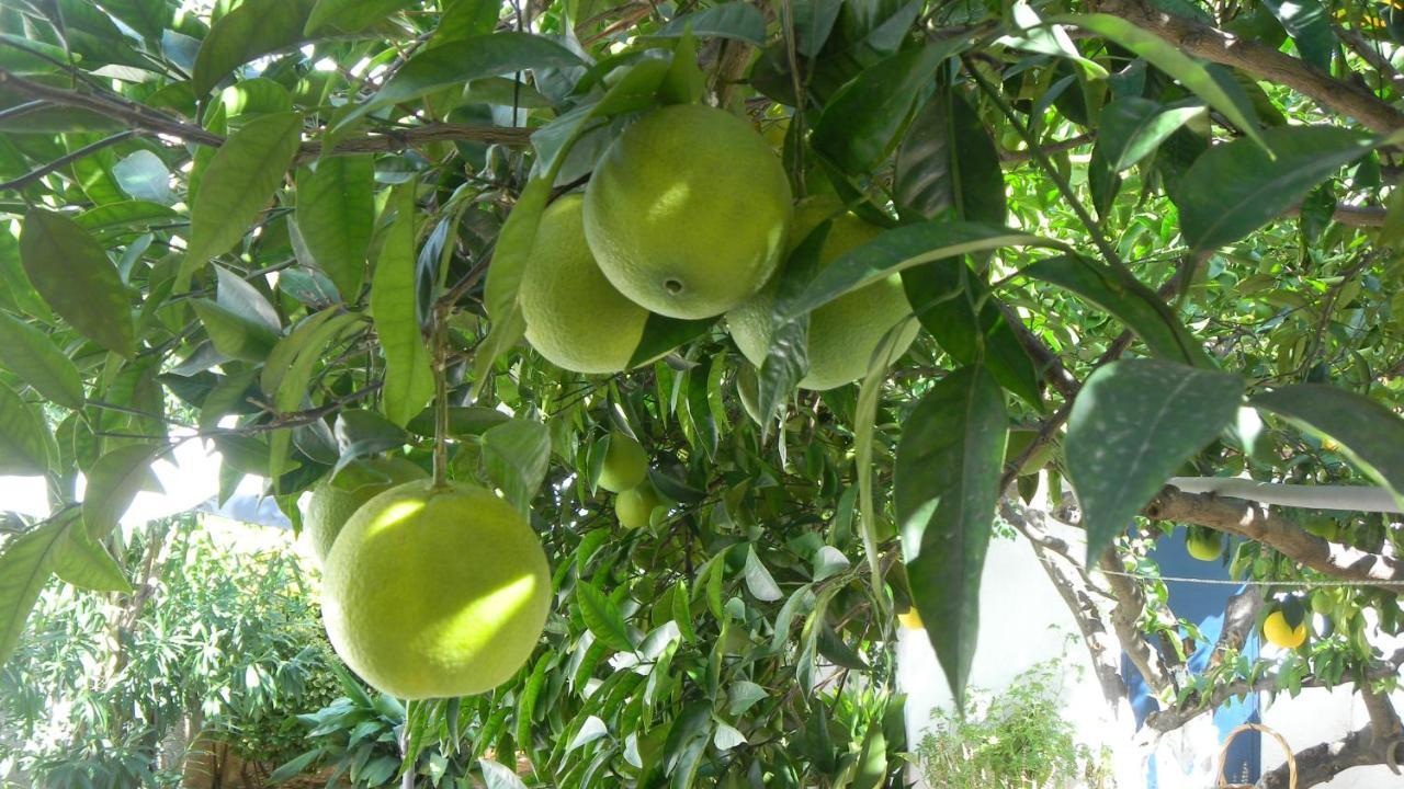 Cosy Guesthouse-Souterrain With Garden In City Center Corinth Εξωτερικό φωτογραφία